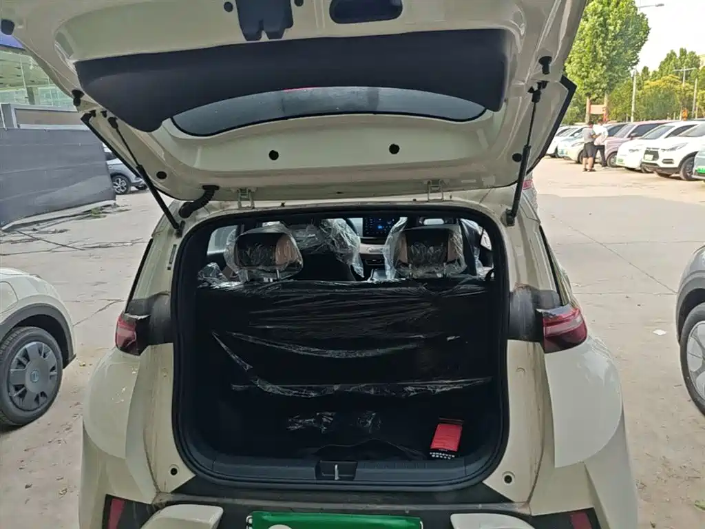 BYD Seagull 2025 Smart Drive Edition 305km Vitality Version фото 19
