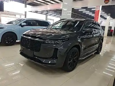 Li Auto ONE