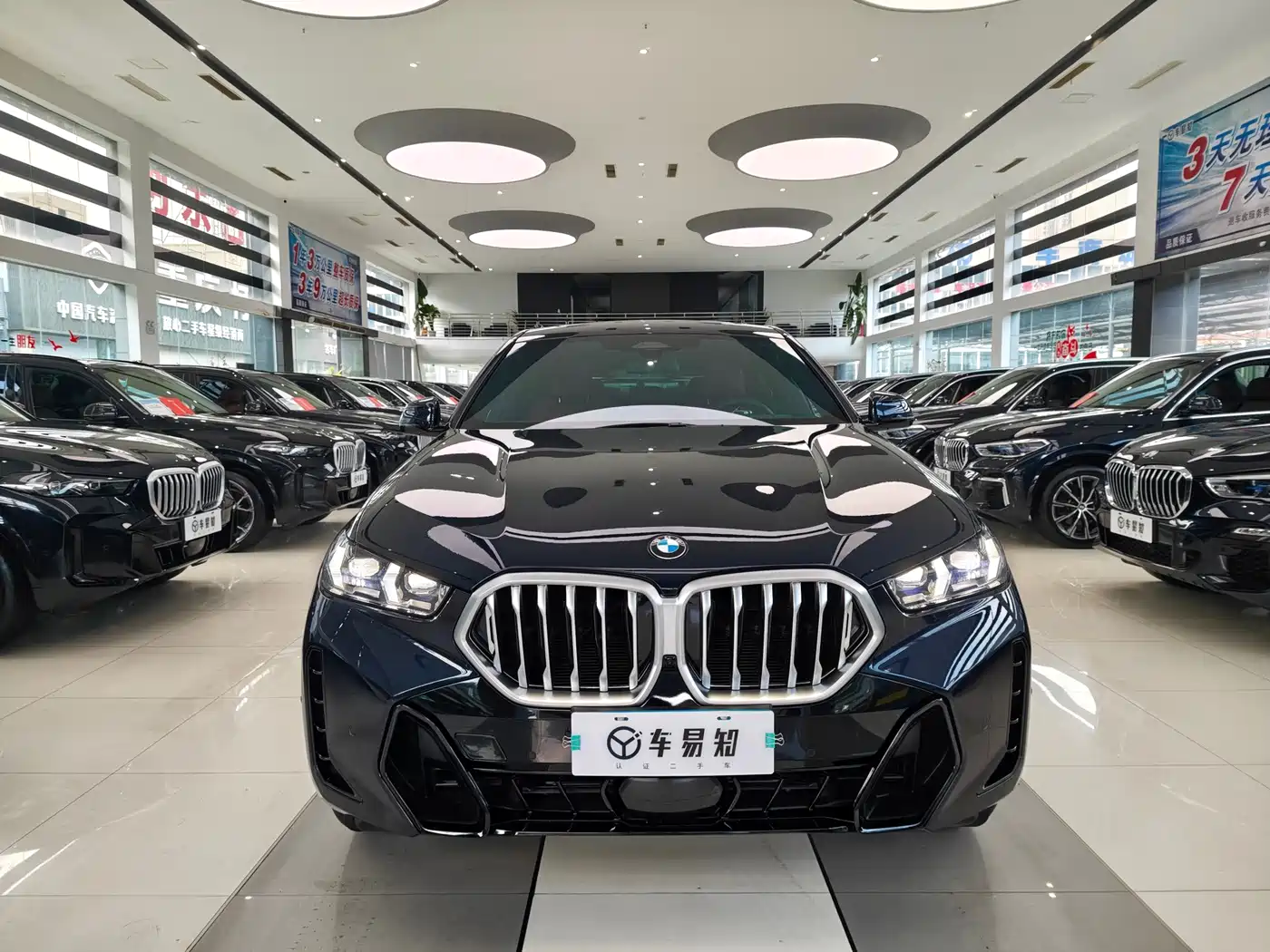 2025 BMW X6