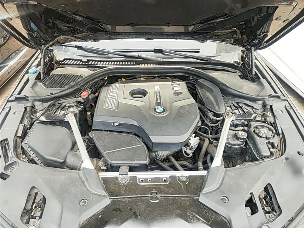 BMW 5 Series 2018 Facelift 530Li xDrive Luxury Package фото 19