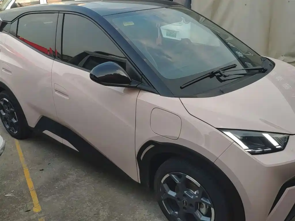 BYD Seagull 2024 Glory Edition 305km Freedom Edition фото 4