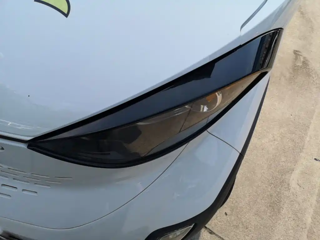 Baojun E100 2020 2019 250KM Smart Edition