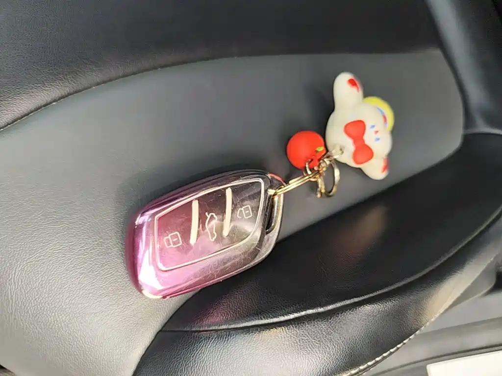 Roewe Kaiwei CLEVER 2023 2022 311km Vitality Bobo Edition