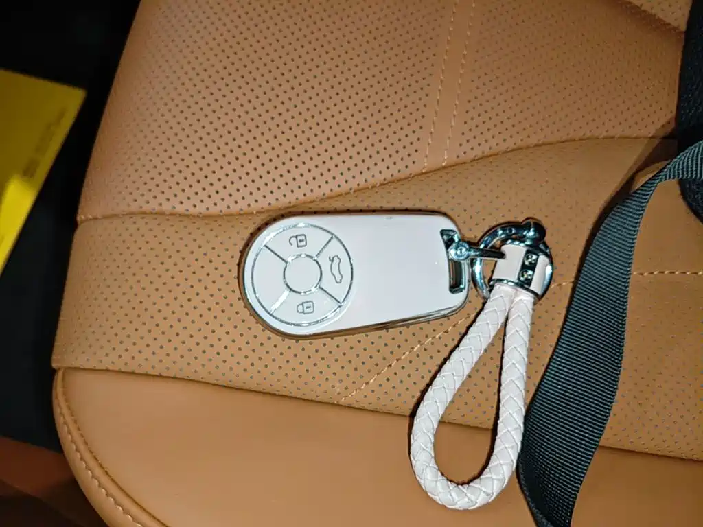 Ora Lightning Cat 2024 2022 555km Premium Edition