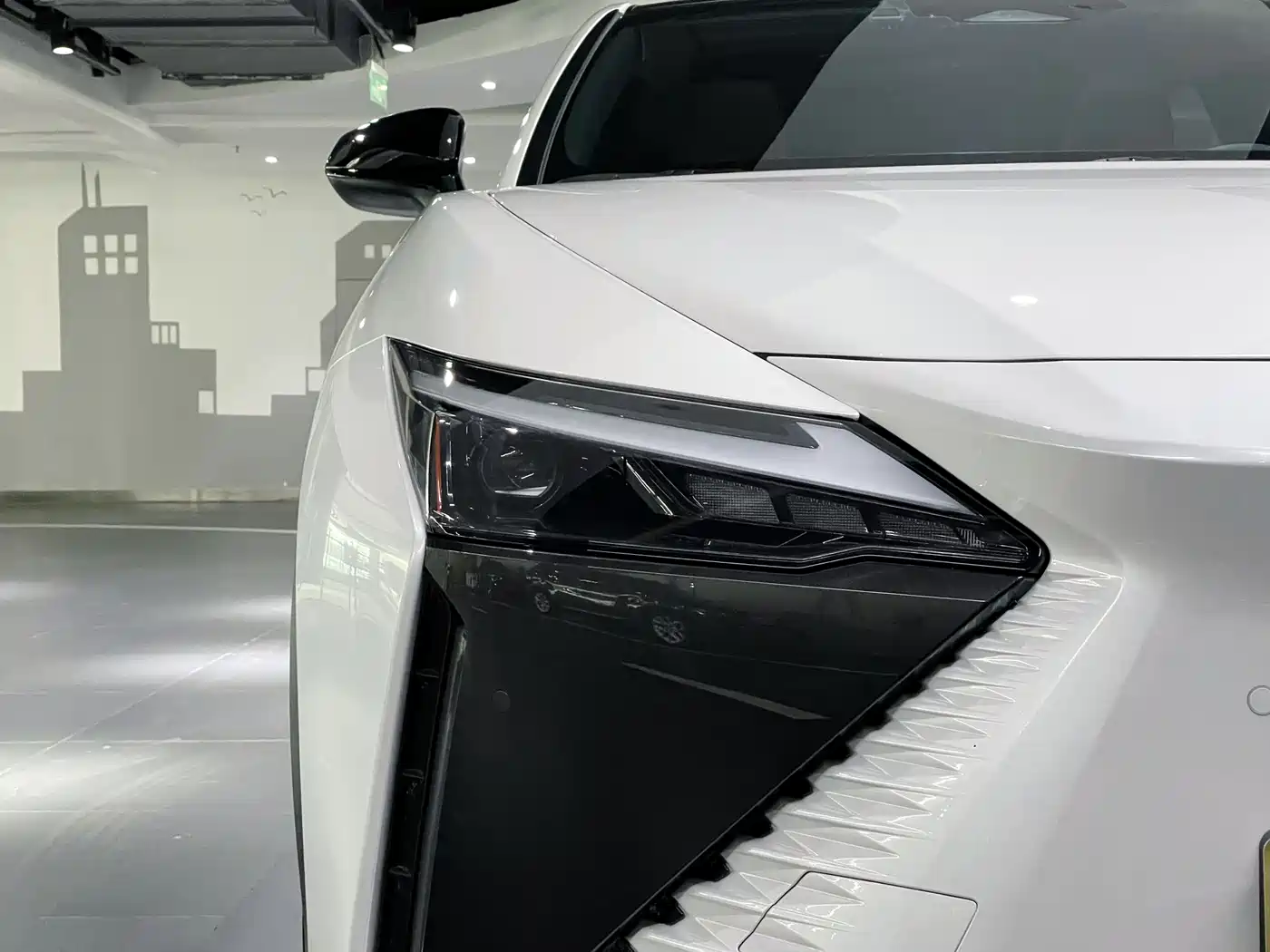 Lexus RZ 2023 450e 4WD Deluxe фото 6