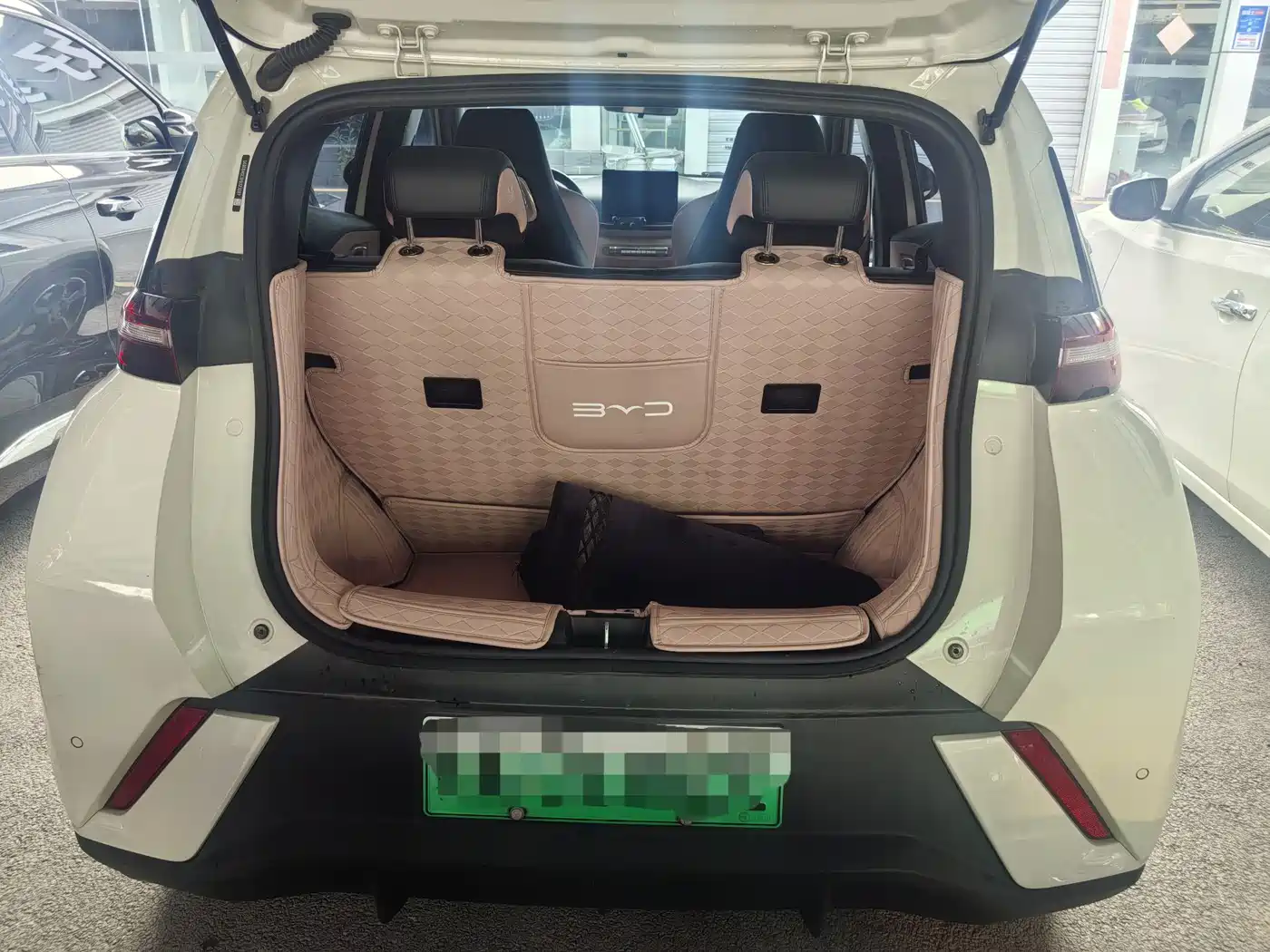 BYD Seagull 2023 Flying Edition фото 12