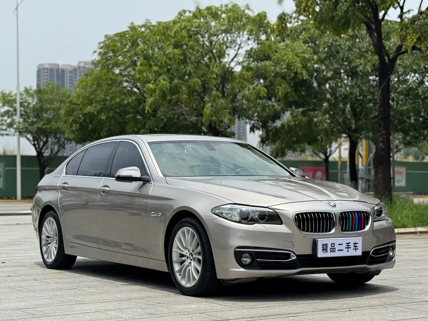 BMW 5 Series 2014 525Li Luxury Design Package фото 3