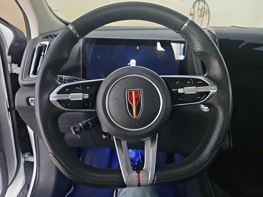 صورة 15 - Hongqi HS3