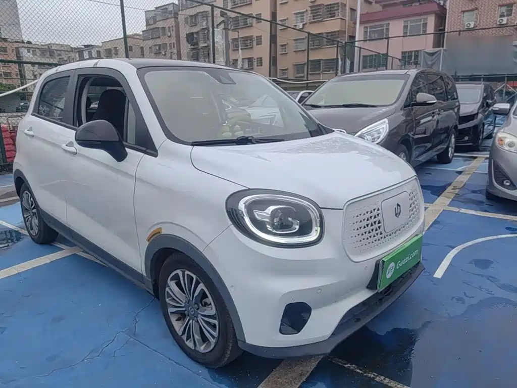 Leapmotor T03 2020 2020 400 Luxury Edition