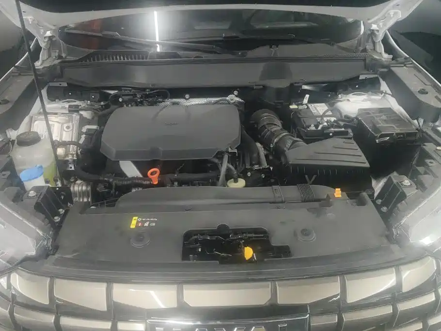 Haval H6 2025 2024 2.0T 2WD Max