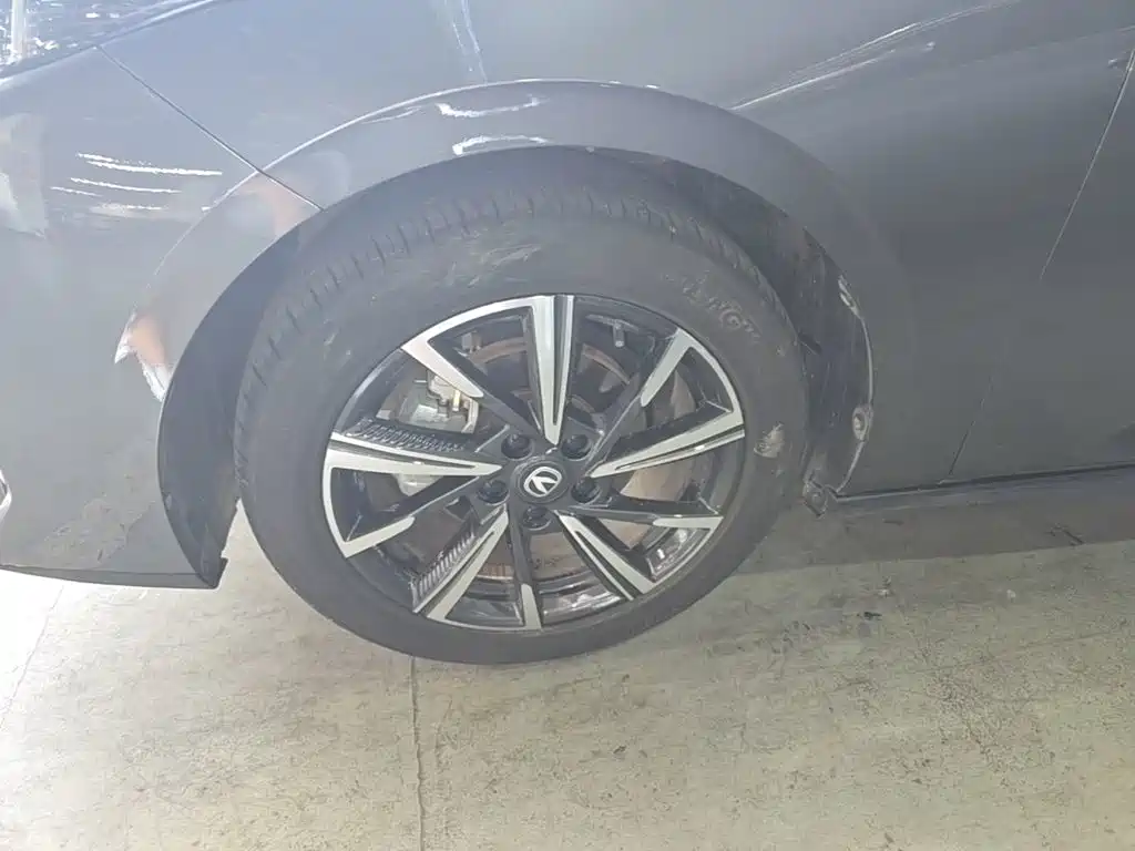Changan Yida 2024 2023 Blue Whale NE 1.5T GDI DCT Pilot