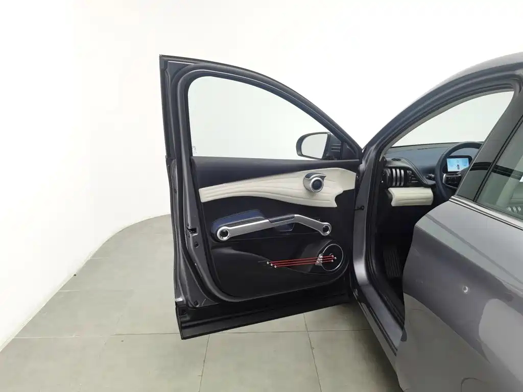 BYD Yuan PLUS 2022 2022 430KM Luxury Model