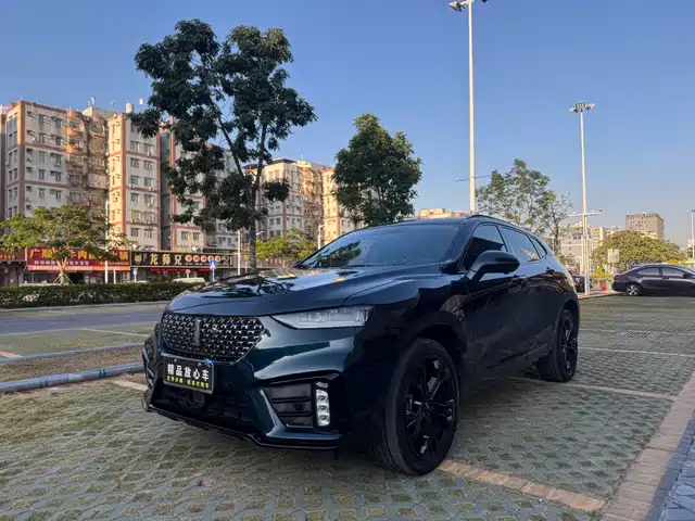 WEI PAI WEI BRAND VV7