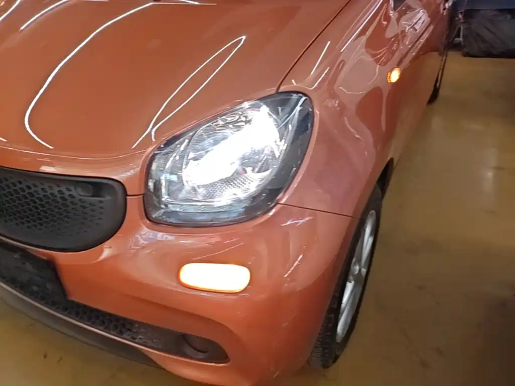 Фото 24 - smart forfour