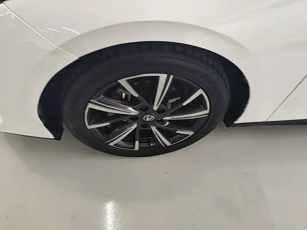 Changan Yida 2023 2023 Blue Whale NE 1.5T GDI DCT Pilot