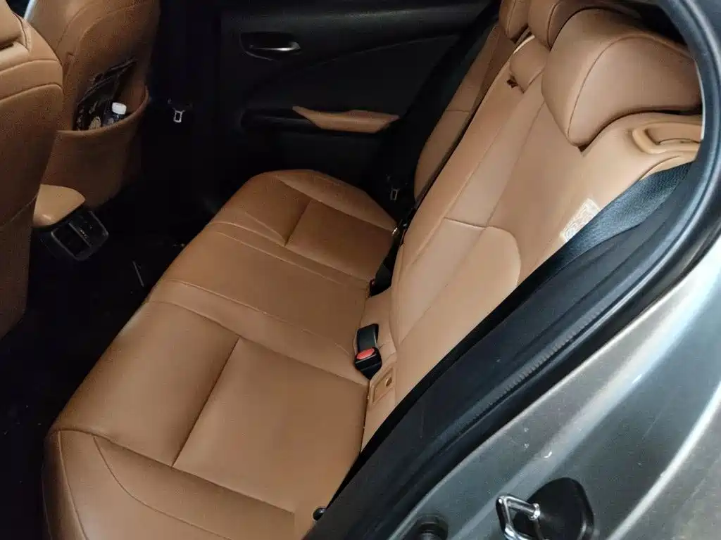 صورة 15 - Lexus UX Electric