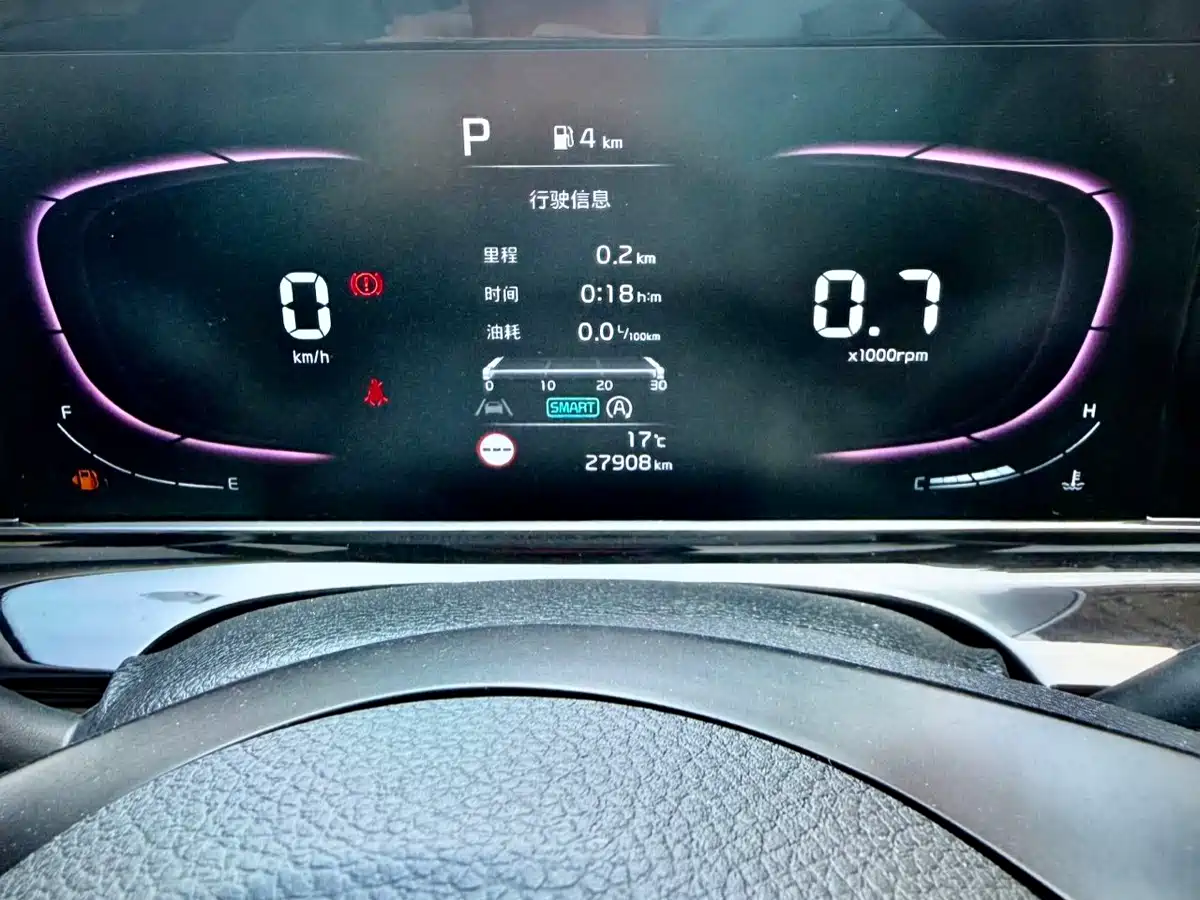 Kia Seltos 2023 1.5L CVT Luxury Edition фото 23
