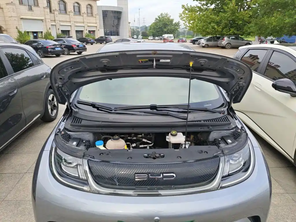 Photo 20 - BYD Dolphin