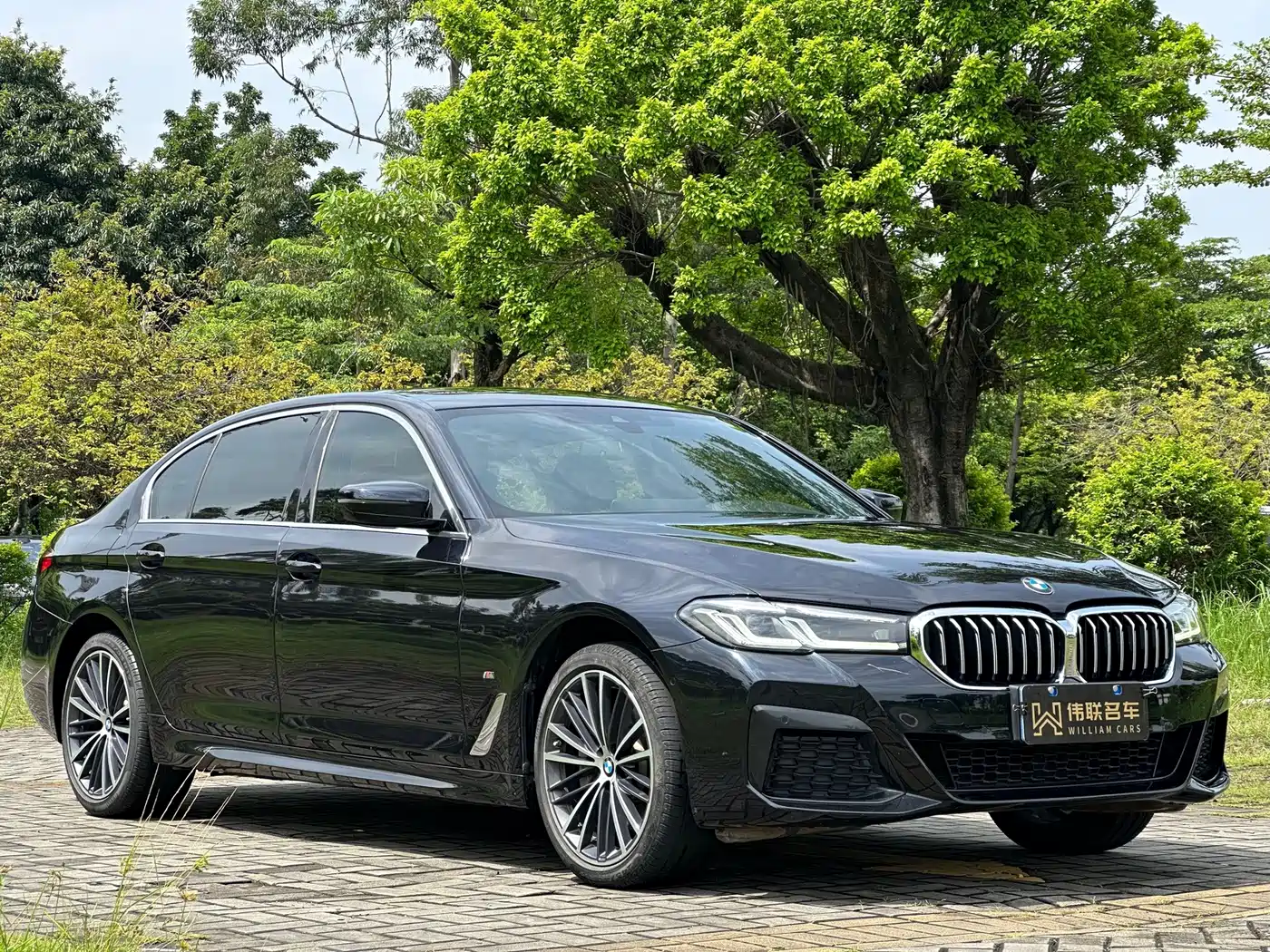 BMW 5 Series, миниатюра 3