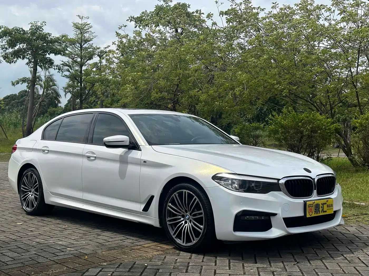BMW 5 Series 2019 530Li Leading M Sport Package фото 8