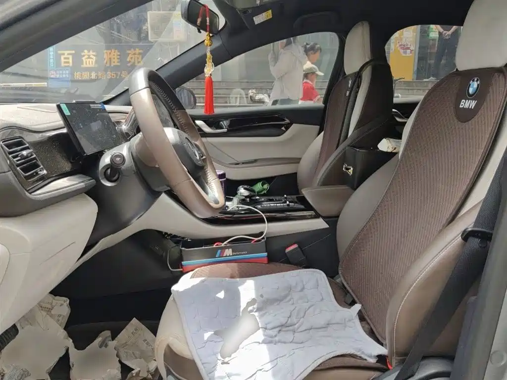 BYD Qin PLUS 2024 Glory Edition DM-i 55KM Leading фото 12