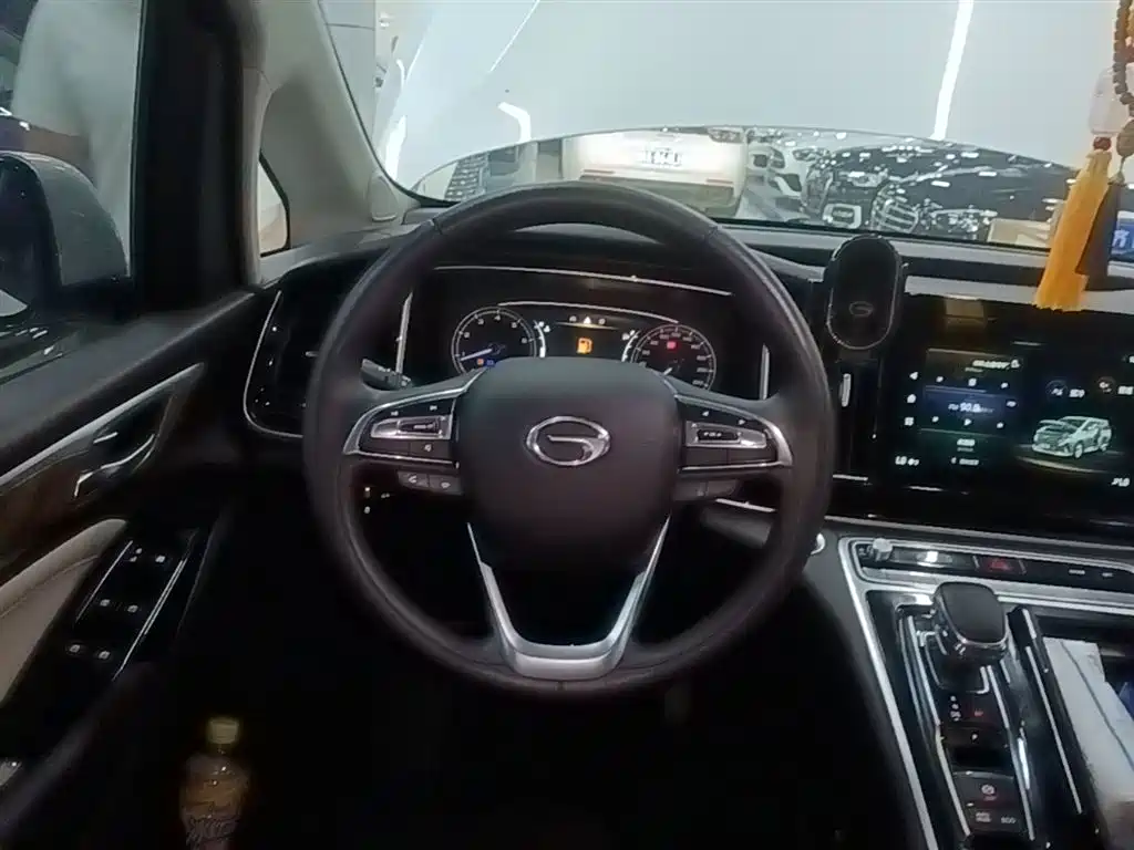 GAC Trumpchi Trumpchi M8 2021 Leading Show Series 390T Luxury Edition фото 11