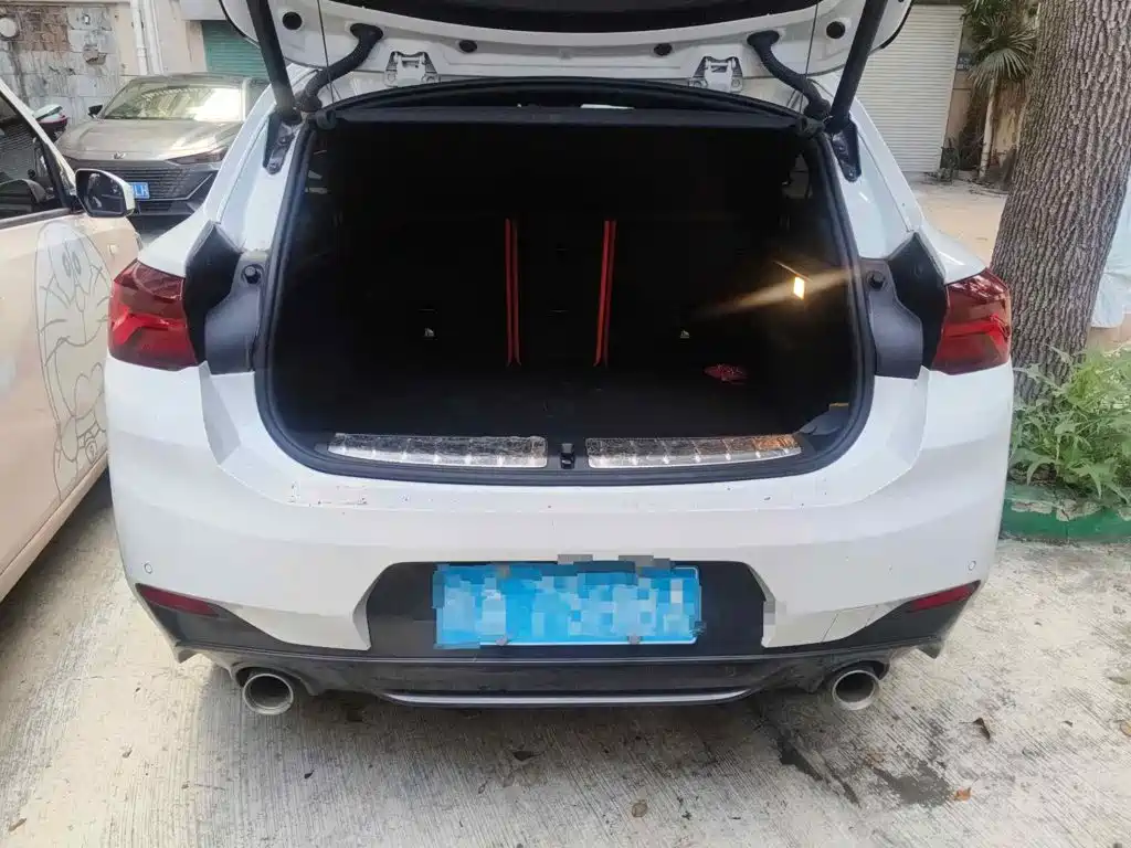 صورة 13 - BMW X2