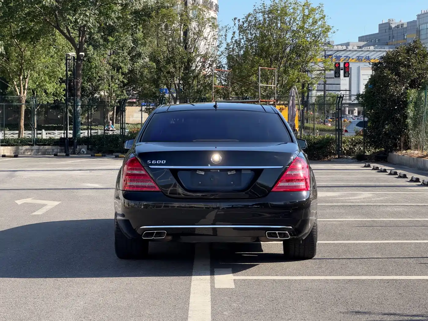 Mercedes-Benz S-Class 2010 2010 S 600 L