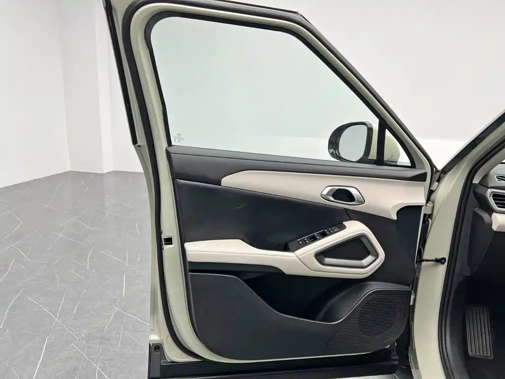 BYD Yuan UP 2025 2024 401KM Vitality Edition