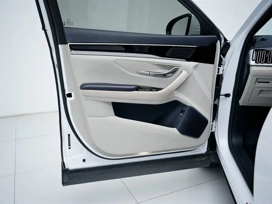 BYD Song PLUS PHEV 2021 DM-i 110KM Flagship фото 6