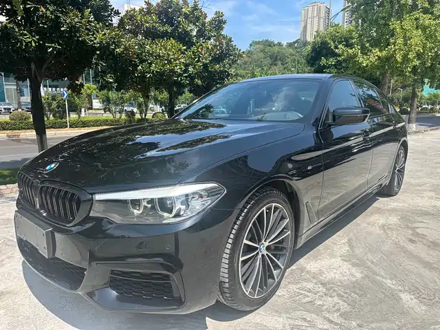 BMW 5 Series 2019