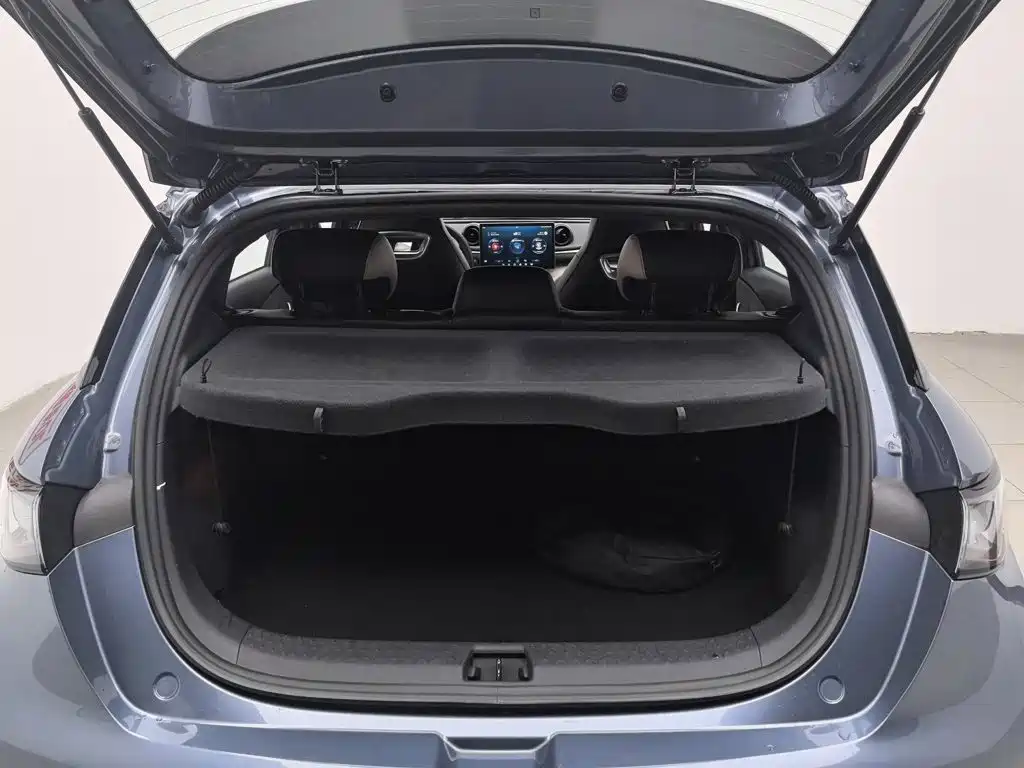 BYD Dolphin 2026 2025 420km Freedom Edition