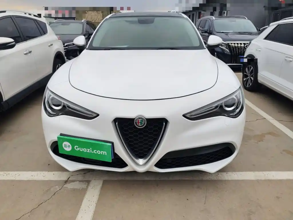 Alfa Romeo Stelvio 2019 2017 2.0T 200HP Elite