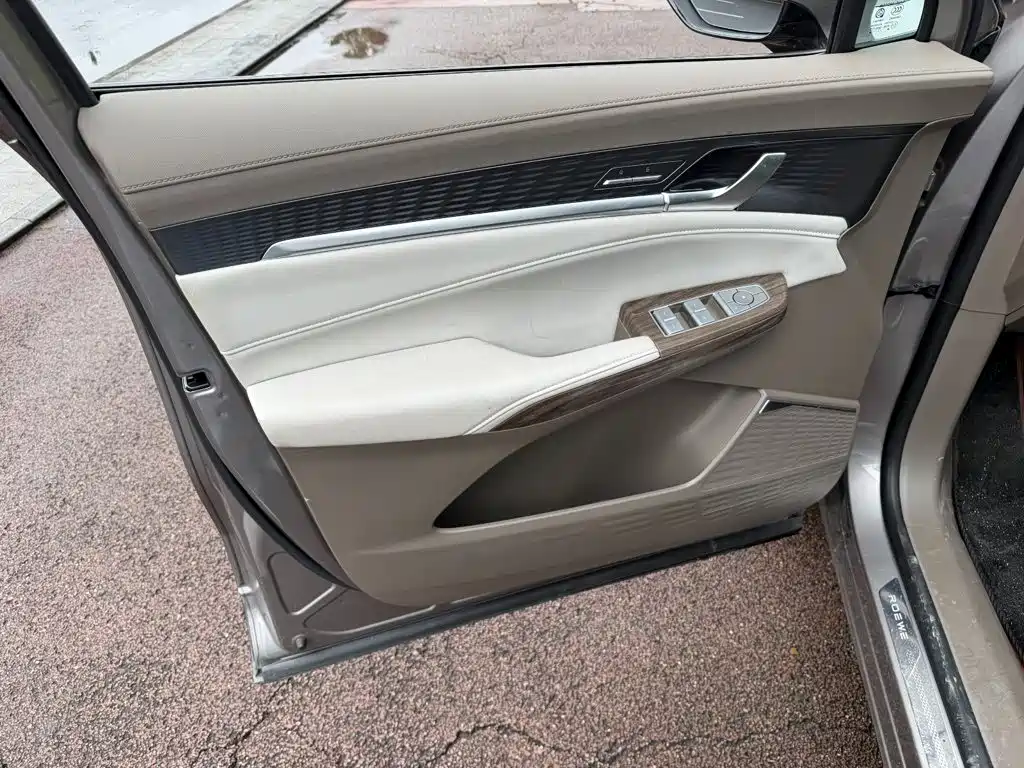 Roewe RX9 2024 2023 2.0T 2WD Premium Edition
