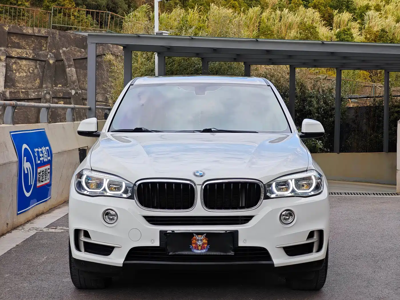 BMW X5 (Import) 2017 xDrive35i Luxury Edition фото 2
