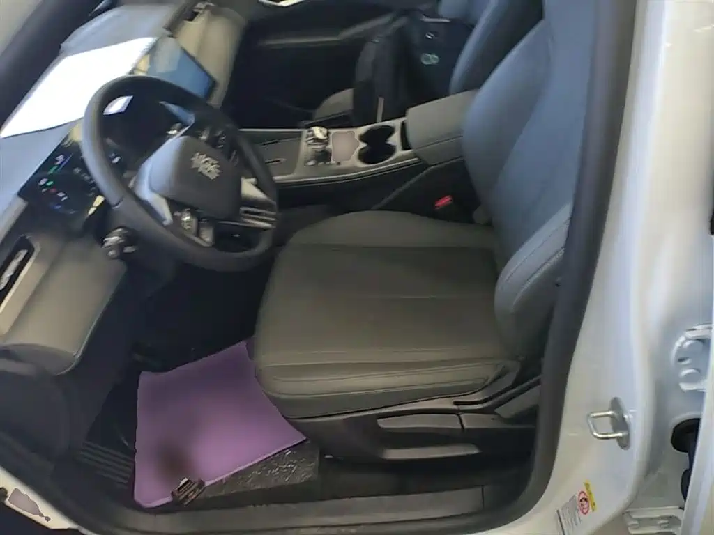 BYD Qin PLUS 2025 DM-i Smart Drive 55KM Leader фото 15