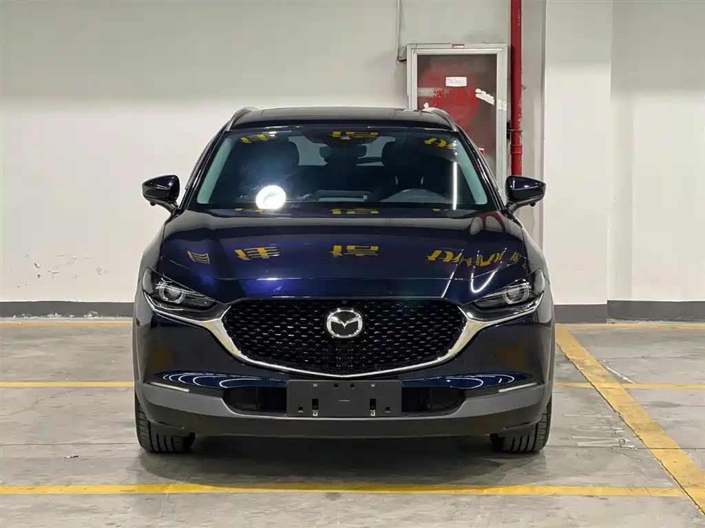  CX 30