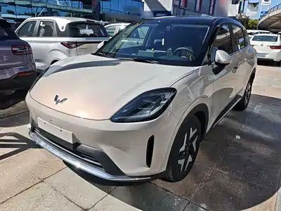 Wuling Bingo S
