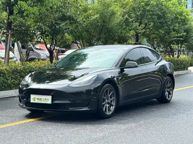 Tesla Model 3 Задний привод