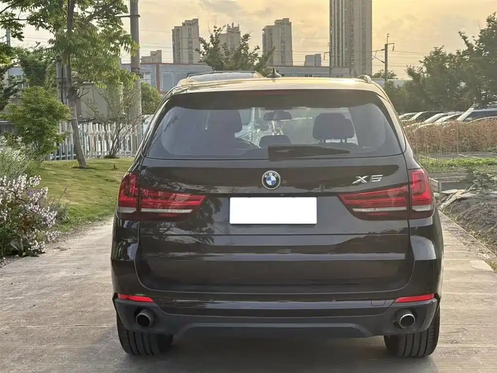 BMW X5 (Import) 2014 xDrive35i Elegance фото 13