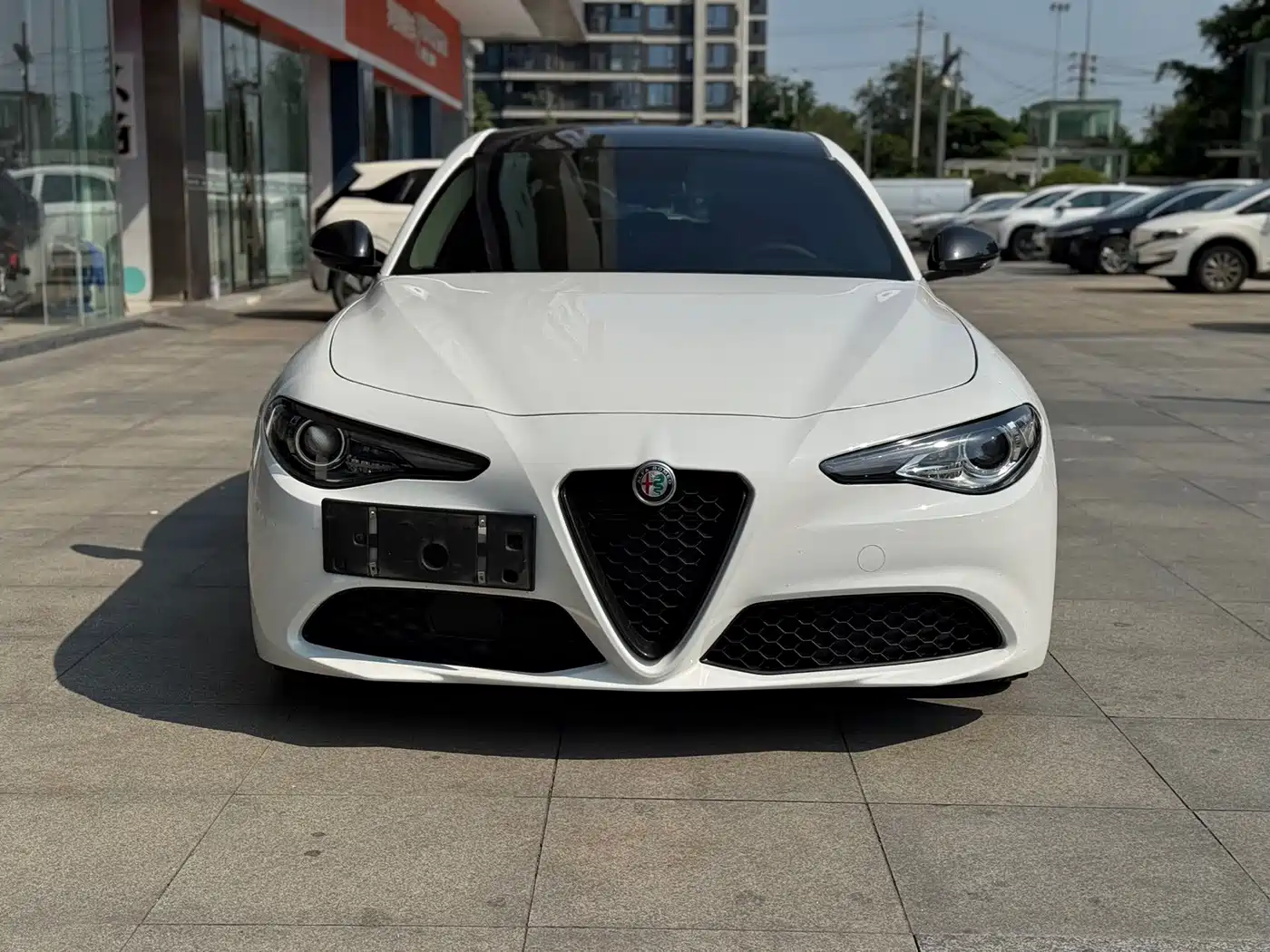 Alfa Romeo Giulia 2020 2019 2.0T 280HP Black Package Limited Edition