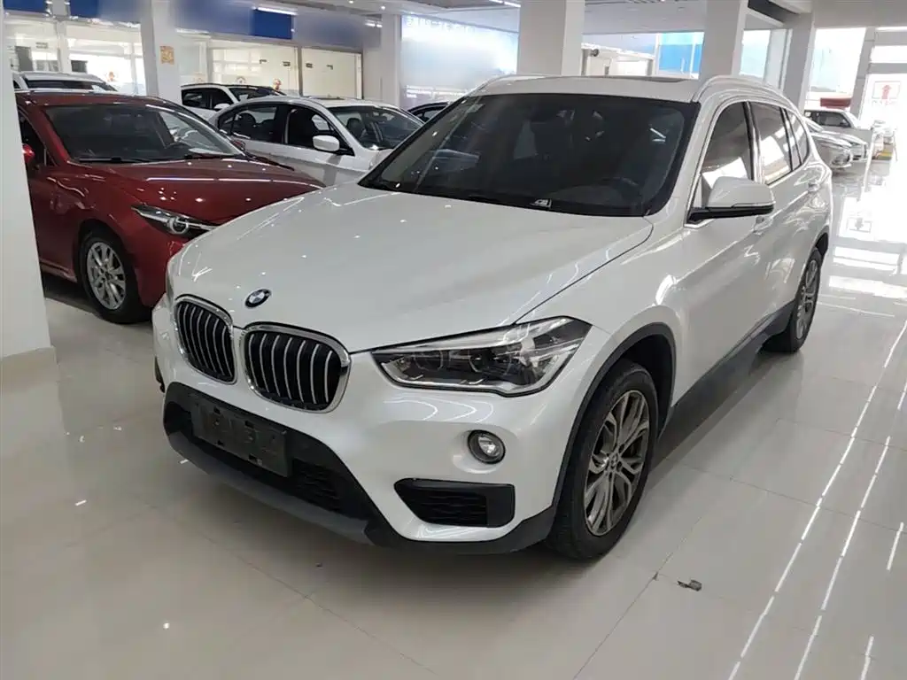 BMW X1 2018 sDrive20Li Leading Model