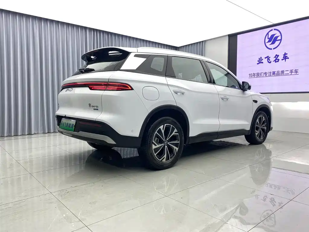 BYD SONGJIANG NEW ENERGY