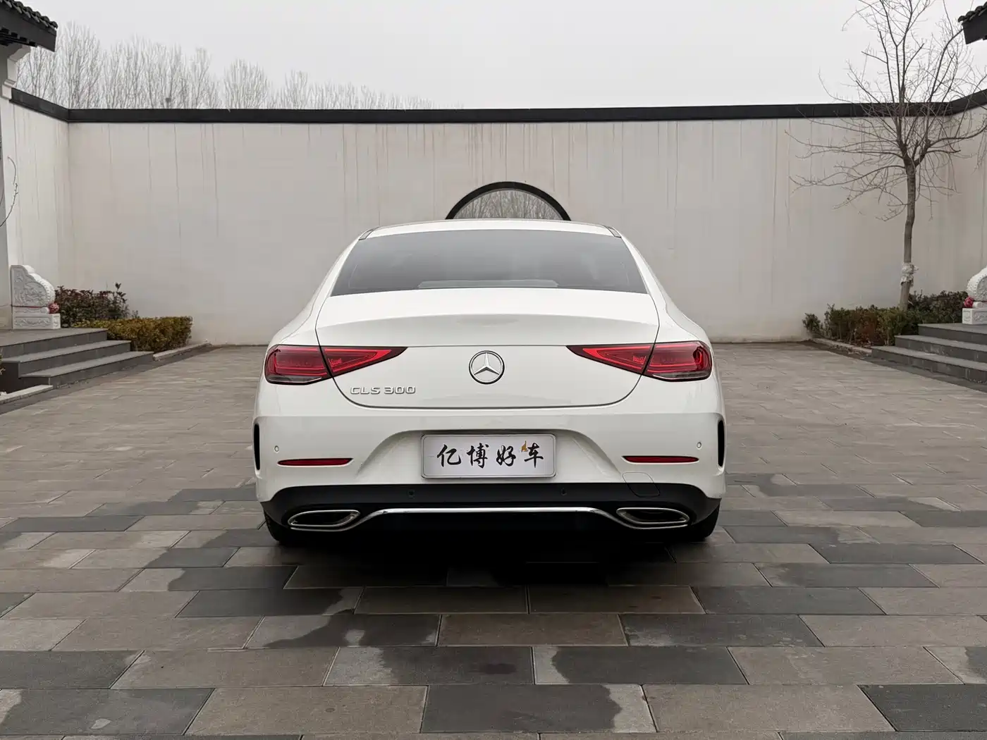 Mercedes-Benz CLS 2022 CLS 300 Dynamic фото 16
