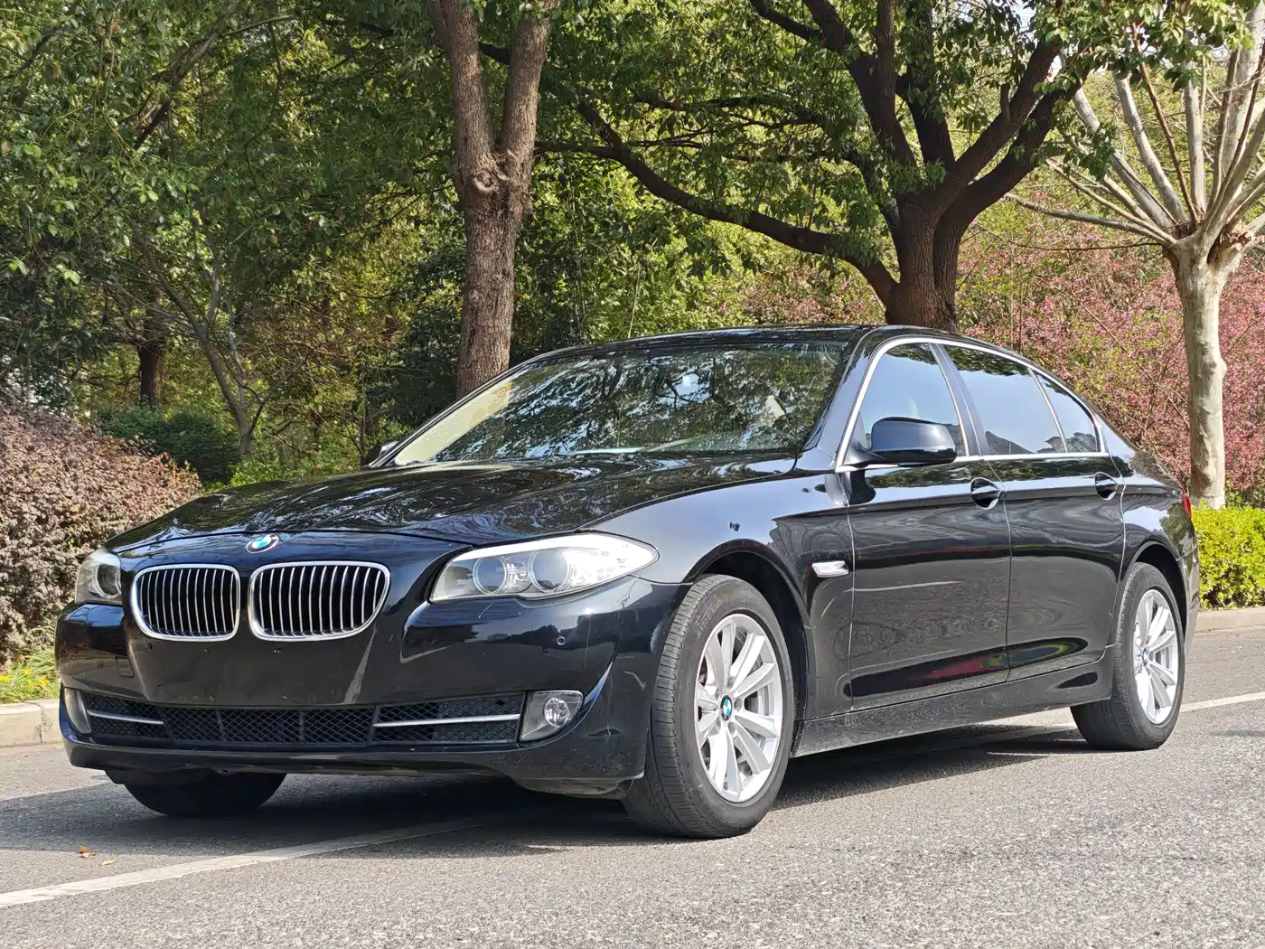 BMW 5 Series 2012 523Li Luxury