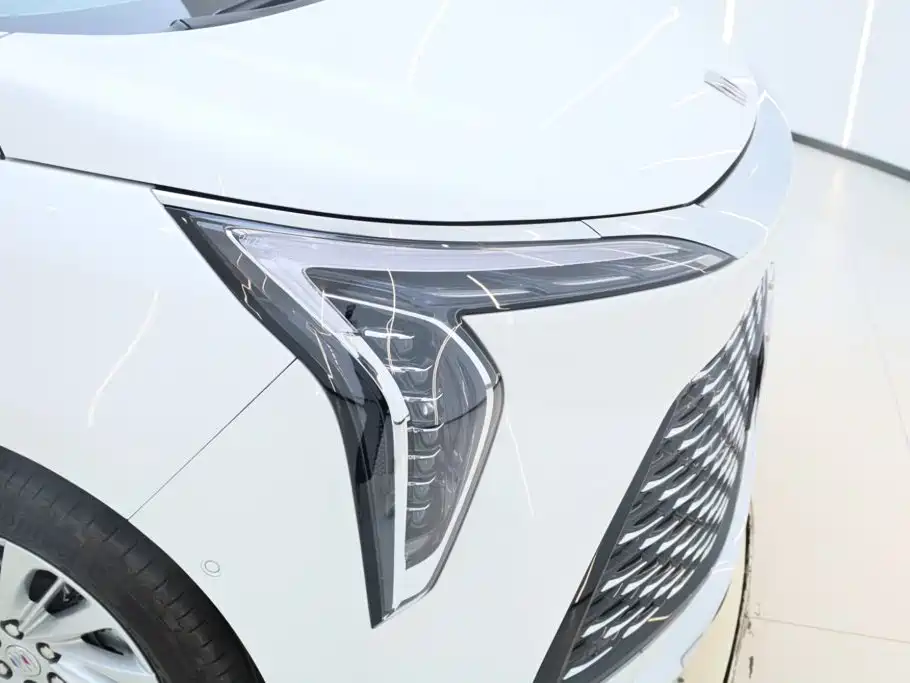 Buick Century 2025 2025 2.0T 6-Seater World Edition