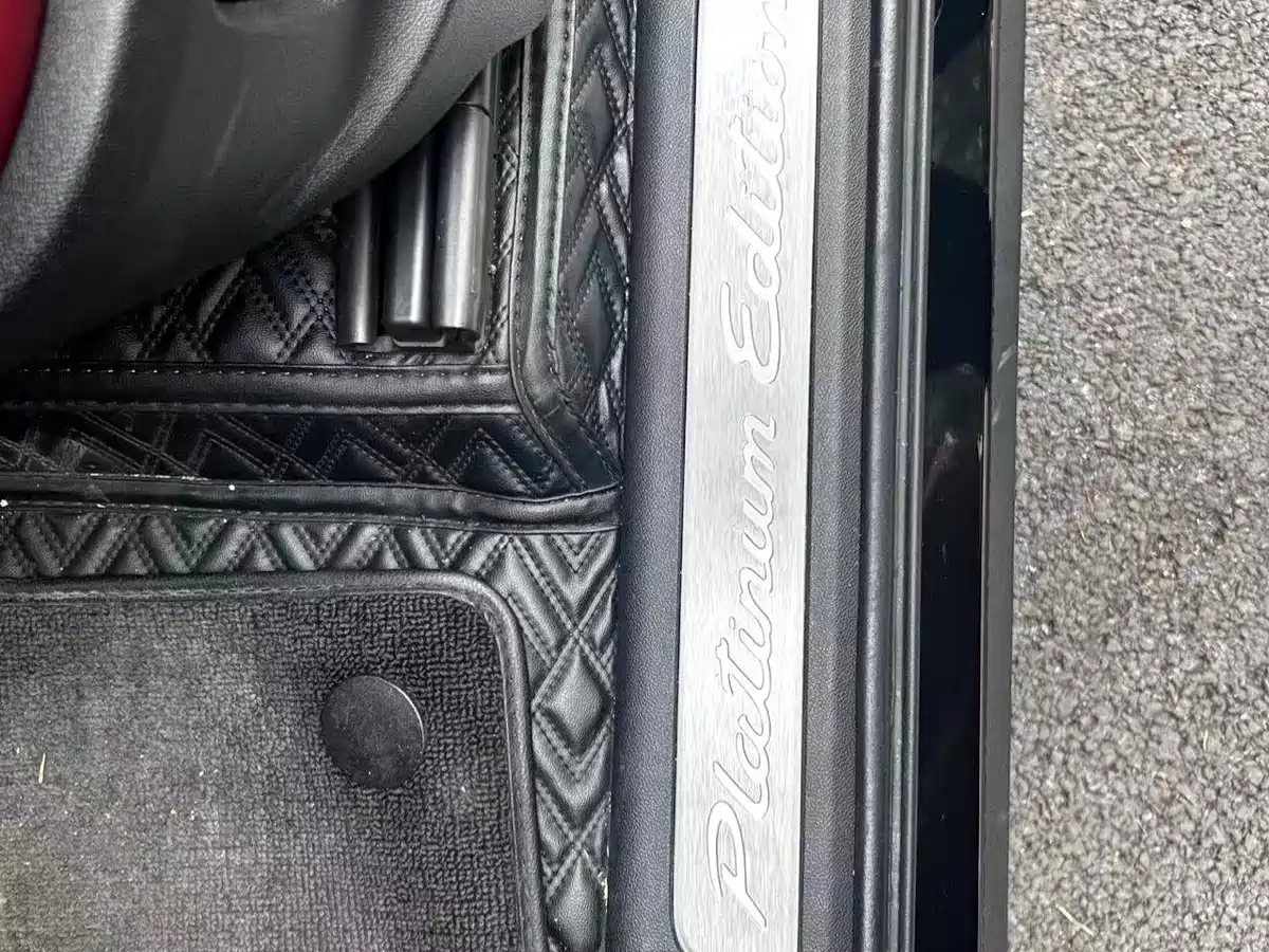 PORSCHE CAYENNE NEW ENERGY