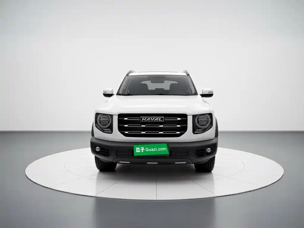 Haval Dargo 2021 2021 2.0T DCT 4WD Chinese Rural Dog Edition