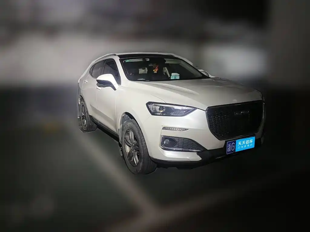 Haval F5 2019 2018 1.5T i-Trend