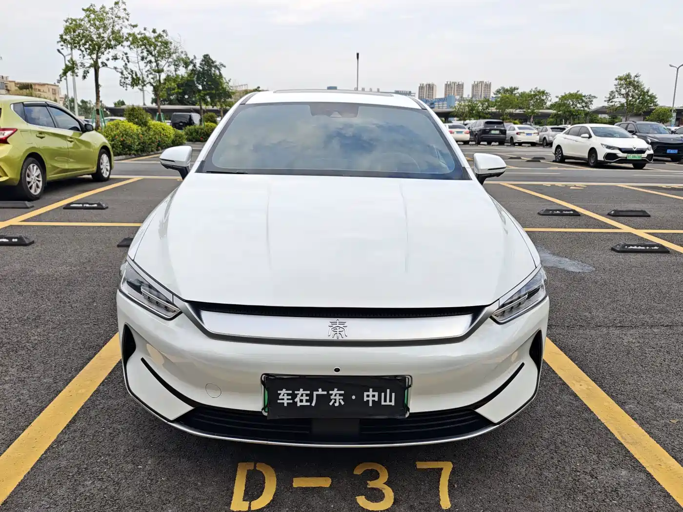 Фото 2 - BYD Qin PLUS